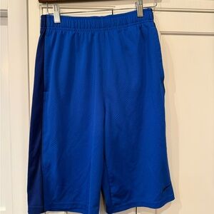Nike Kids Royal Blue Athletic Shorts with Navy Side Panel